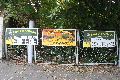 Kessel Buntes aus den letzten Tagen