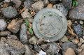 Photo Graphik,Kapitel 2, 2008-2009
