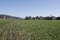 Spaziergang in Alt Laubegast an der Elbe
