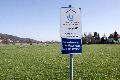 Spaziergang in Alt Laubegast an der Elbe