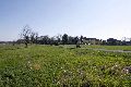 Spaziergang in Alt Laubegast an der Elbe