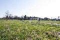 Spaziergang in Alt Laubegast an der Elbe