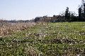 Spaziergang in Alt Laubegast an der Elbe