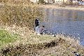 Spaziergang in Alt Laubegast an der Elbe