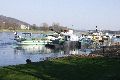 Spaziergang in Alt Laubegast an der Elbe