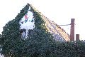 Spaziergang in Alt Laubegast an der Elbe