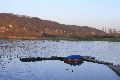 Spaziergang in Alt Laubegast an der Elbe