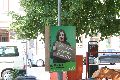 Leipziger Str.-Von der Leipziger Vorstadt bis zum Straßenbahndepot Mickten