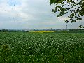 Leubnitzer Höhe bis Strehlen- Wasa Platz