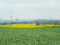 Leubnitzer Höhe bis Strehlen- Wasa Platz