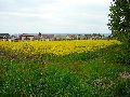 Leubnitzer Höhe bis Strehlen- Wasa Platz