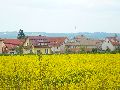 Leubnitzer Höhe bis Strehlen- Wasa Platz