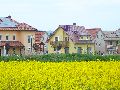 Leubnitzer Höhe bis Strehlen- Wasa Platz