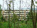 Leubnitzer Höhe bis Strehlen- Wasa Platz