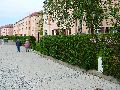 Leubnitzer Höhe bis Strehlen- Wasa Platz
