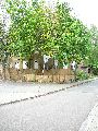 Leubnitzer Höhe bis Strehlen- Wasa Platz