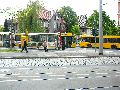 Leubnitzer Höhe bis Strehlen- Wasa Platz