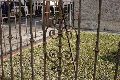 Spaziergang Bahnhof Niededlitz Leuben Laubegast Tolkewitz ,der Straßenbahnlinie 6 folgend