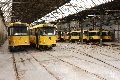 Spaziergang Bahnhof Niededlitz Leuben Laubegast Tolkewitz ,der Straßenbahnlinie 6 folgend