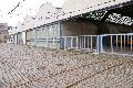 Spaziergang Bahnhof Niededlitz Leuben Laubegast Tolkewitz ,der Straßenbahnlinie 6 folgend