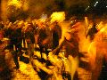 Studie über politisches Engagement, Beispiel Hausbesetzung List Str., befreit die Häuser von ihrer Leere