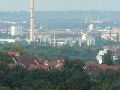 Spaziergänge in Lockwitz