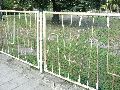 Spaziergänge in Lockwitz