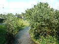 Spaziergänge in Lockwitz