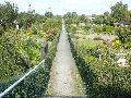 Spaziergänge in Lockwitz