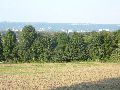Spaziergänge in Lockwitz