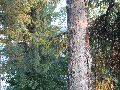 Spaziergänge in Lockwitz