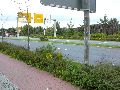 Spaziergänge in Lockwitz