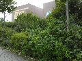 Spaziergänge in Lockwitz