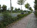 Spaziergänge in Lockwitz