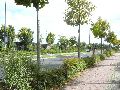 Spaziergänge in Lockwitz