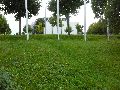 Spaziergänge in Lockwitz