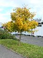 Spaziergänge in Lockwitz