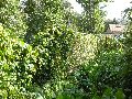 Spaziergänge in Lockwitz