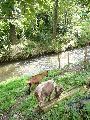 Spaziergänge in Lockwitz