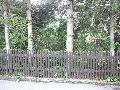 Spaziergänge in Lockwitz