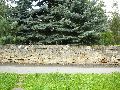 Spaziergänge in Lockwitz