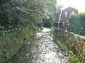 Spaziergänge in Lockwitz