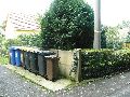 Spaziergänge in Lockwitz
