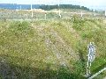 Spaziergänge in Lockwitz