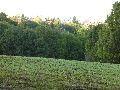 Spaziergänge in Lockwitz