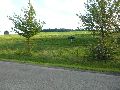 Spaziergänge in Lockwitz