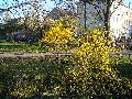 Spaziergang vom Bahnhof Niedersedlitz-Prohlis-Dobritz-Niedersedlitz-Leuben
