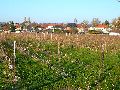 Spaziergang vom Bahnhof Niedersedlitz-Prohlis-Dobritz-Niedersedlitz-Leuben