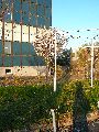 Spaziergang vom Bahnhof Niedersedlitz-Prohlis-Dobritz-Niedersedlitz-Leuben