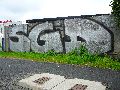 Graffitis-Schriften und Blütenfarben
